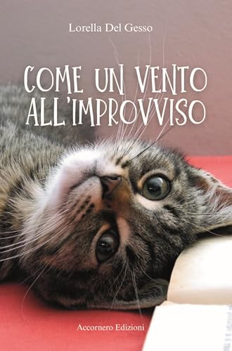 Come un vento all’improvviso (Italian Edition)