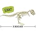 Thames & Kosmos Giant Dinosaur: T. Rex Skeleton Model | STEM Activity | Build a 26-in Long T. Rex Skeleton | Explore Paleontology & Learn Fun Dino Facts | Includes Manual with Step-by-Step Assembly