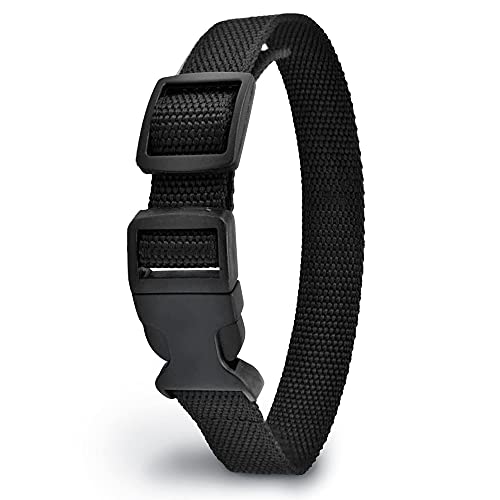 9 Best Bark Collars For Beagle In 2023 Top No Bark Collars Detailed