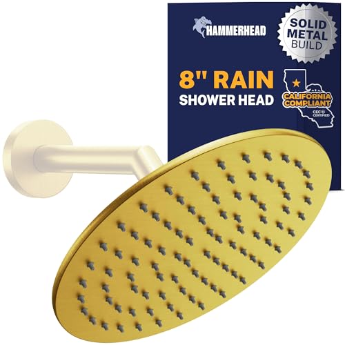 HammerHead Showers 8 Inch Round Rain Shower Head