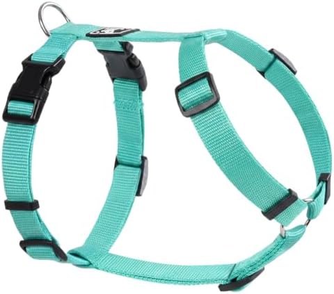 Aolso Hundegeschirr, Anti-Zug Geschirr mit 5 Verstellpunkten, S-M, Türkis | Individuell Anpassbar, 1 D-Ring, Schnellverschlüsse, Verstellbares Brustgeschirr für mittelgroße & große
