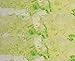 Light Green Watermelon Rock Candy Strings 1LB Bag