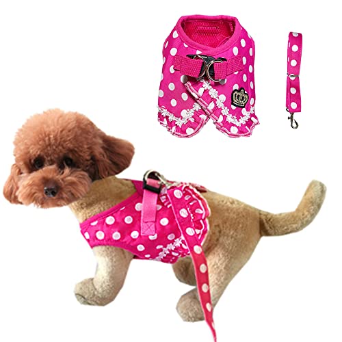 ANIAC Ausbruchsicher XS Hundegeschirr und Leine Set Polka Dots Geschirr Kleider Haustier Weste Geschirr mit Krone Welpen Netz Gepolsterte Hemden für Katzen und kleine Hunde (XL, Rot) Cover