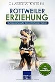 rottweiler welpen  Rottweiler Erziehung: Hundeerziehung für Deinen Rottweiler Welpen