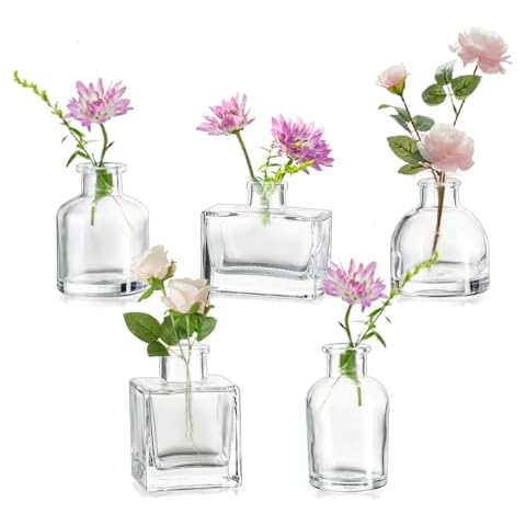 Hewory 5pcs Glass Bud Vases Set Cover