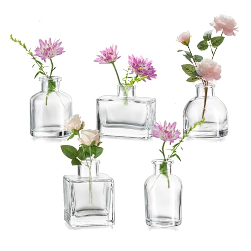 Spesso e robusto: realizzato in vetro pressato ispessito, questo piccolo vaso estetico per fiori sfusi è robusto e non si rompe facilmente. Il nostro set di vasi multi vetro è più spesso e più robusto di altri.