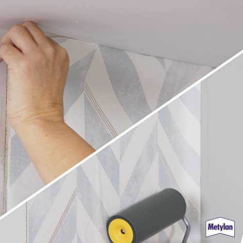 Metylan NP Hohe Klebkraft Raufaser & Vlies Pulver Tapetenkleister, Kleister für Struktur- und Raufasertapeten auch auf schwierigen Untergründen, transparent, 1kg