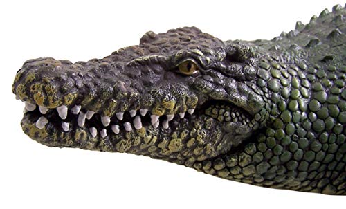 Wowser Realistic Painted Cast Resin Alligator Statue, 20 1/2 Inch #TOP2
