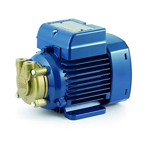 Electric Water PV Pump with peripheral impeller PVm55 0,25Hp 240V Pedrollo