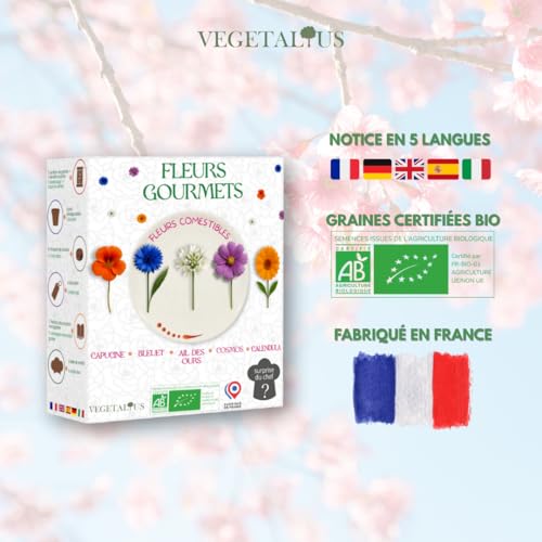 VEGETALIUS - Kit fleurs comestibles à cultiver | Graines bio françaises (Calendula, Bleuet, Cosmos, Capucine, Ail des Ours) + La surprise du chef | Coffret prêt à pousser éco-responsable - Idée cadeau – vue 4