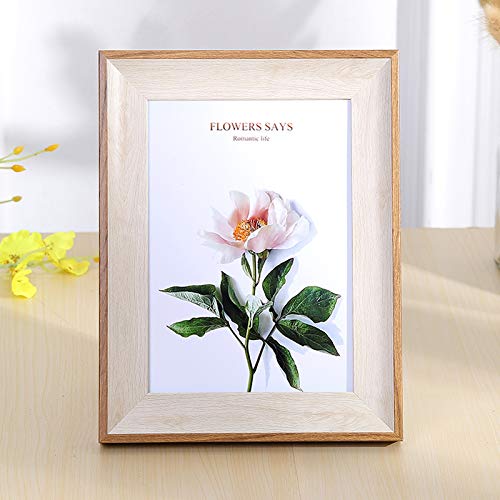 ztHgt[Ƒ̎q̌̎ʐ^ǉƂ̑7C`i12.7 * 17.8cmjzCgEbh