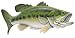 Largemouth Bass Decal/sticker - Freshwater Fish Collection - Small 7 X 4 Facing As Shown