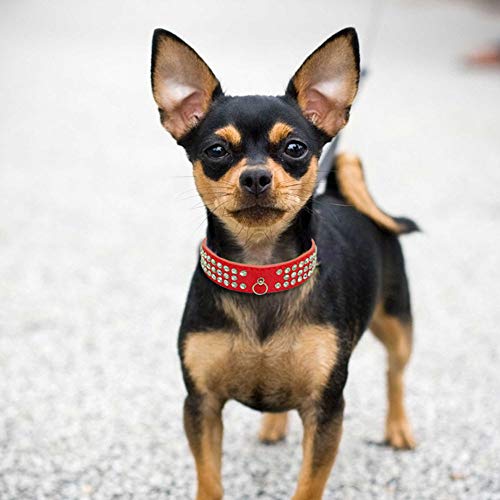 Haoyueer Cute Dazzling Sparkling Elegant Fancy Suede Leather 3 Rows Bling Rhinestone Crystal Jeweled Small Pet Cat Dog Puppy Collar(Hot Pink,S 20.5-27Cm) #TOP2