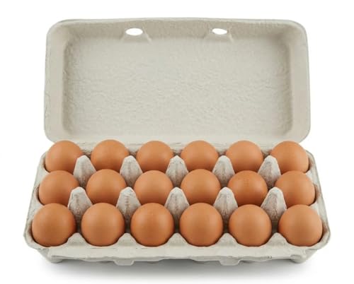 bark and lindy Paper Pulp Egg Cartons for 18 Eggs or Use for Crafting, Parts Storage, Easter (15)