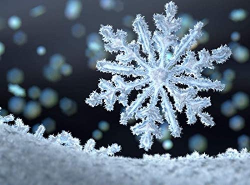 Cuadro de diamantes 5D completo diseño nieve para regalo de cumpleaños original y emotivo