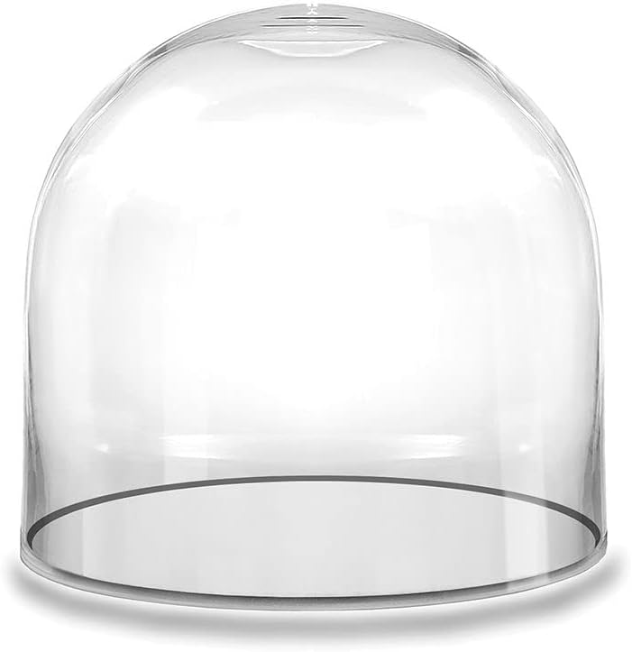 Glass Dome Cloche H-12 D-12 Bell Jar Terrarium Display Cover - Pack of 2
