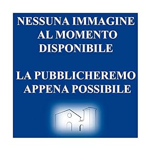 La realizzazione di murature in laterizio.