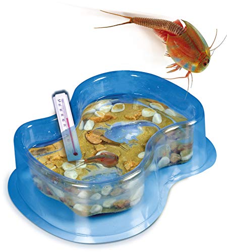 Clementoni 69935 Galileo Science Original Triops Breeding & Watching Prehistoric Shrimp Toy For Children Aged 8+ Biology Touch For Small Researchers, Multicoloured, 5,5 X 15 X 21 Cm #TOP3