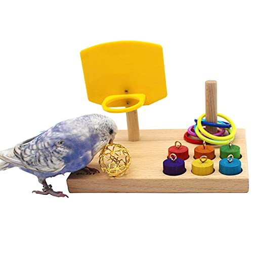 QBLEEV Bird Toys - Budgie & Parrot Training Toys, Color Ring Sets, Chew Ball & Play Gym - Thumbnail 2