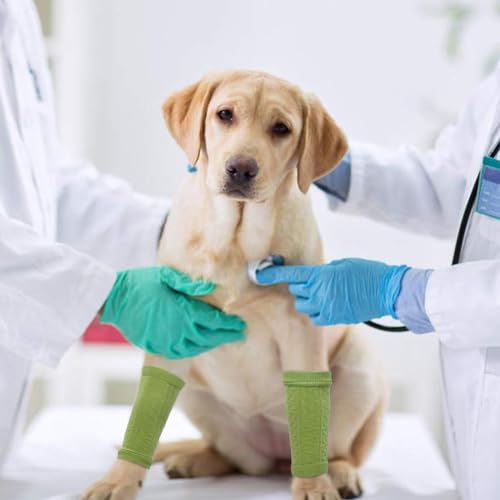Image of ROZKITCH 4 PCS Dog Leg Protection to Help Stop Licking Scratching Wound | Soft Knitting, Stretchy Fit Sleeves, Helps Reduce Licking, Dog & Cat Friendly, Easy to Wear, Daily Leg Coverage