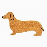 Dachshunds Area Rug,Super Soft Fluffy Rugs for Living Room 1.3x2 Feet,Anti-Slip Furry Rug,Washable S