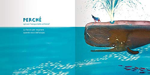 Perché Si Dice Perché? Ediz. A Colori - 4