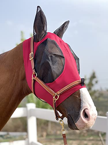 Tgw Riding Horse Fly Mask Super Comfort Horse Fly Mask Elasticity Fly Mask With Ears We Only Make Products That Horses Like (Burgundy, L) #TOP2