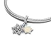 ZURWTCH Sparkling Herbarium Cluster Dangle Charm Fit Women Bracelet Necklaces Fashion Gifts 925 Sterling Silver DIY Jewelry (Sparkling Snowflake Double Dangle Charm M1871)