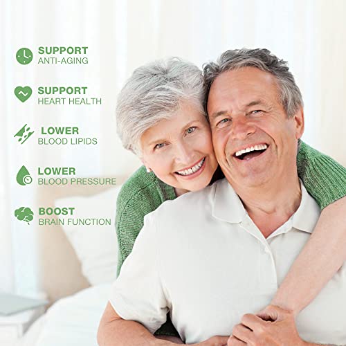 (3 Pack)Organic Hemp Extract - 2,000,000MG Hemp Oil for Pain Relief and Inflammation - Natural Hemp Oil Drops Extra Strength - Anxiety & Stress Relief, Immune Support - Non-GMO - Made in USA