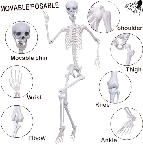 41JSsR+2xeL._AC_ Halloween Skelett Dekorationen Lebensgroßes Skelett 2 Stück Full Size Skelett Kunststoff Menschliches Skelett mit beweglichem Gelenk für Halloween Outdoor
