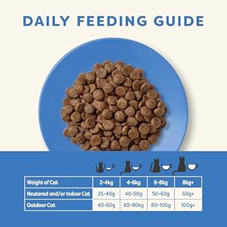 Applaws Complete Natural Dry Cat Food 350g Adult Ocean Fish with Salmon