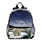 Gran capacidad de mochila, una bolsa principal, un bolsillo frontal, un compartimento con cremallera, dos bolsas para hervidor de agua.