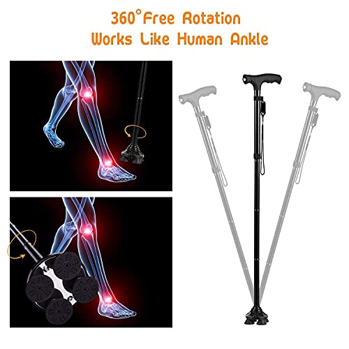 https://m.media-amazon.com/images/I/41JSv1gWCWS._SL500_.jpg