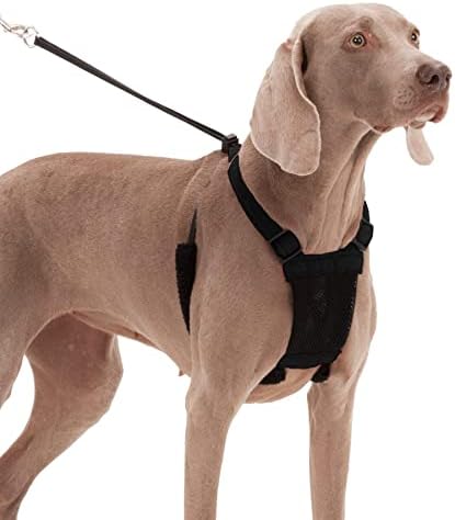 SPORN Non- Pull Mesh Harness, Black, Extra Large