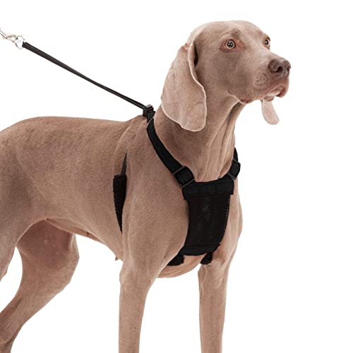 Sporn Non- Pull Mesh Harness, Black, Extra Large #TOP27