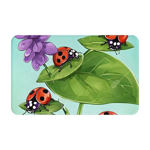 Ladybug Print Living Room Bathroom Kitchen Anti Slip and Absorbent Carpet, Indoor Entrance Door Muddy Floor Mat, Ultra Soft Washable Carpet 21x31.5 Inches