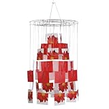 Umbra Vine Hanging Metal Photo or Card Display