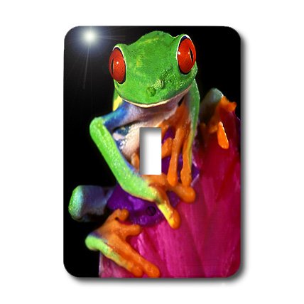 Interrupteur grenouille aux yeux rouges sur broméliade 3drose - 3