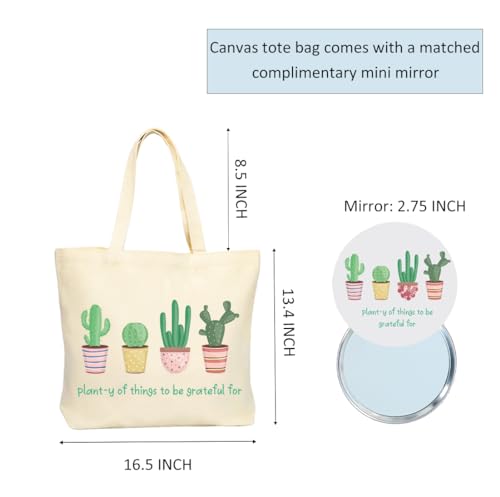 Review de Comprar suculentas los 10 mejores. 37 Imagen adicional