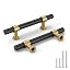 Black&Gold
