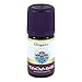 Produktbild OREGANO ÖL Bio 5 ml