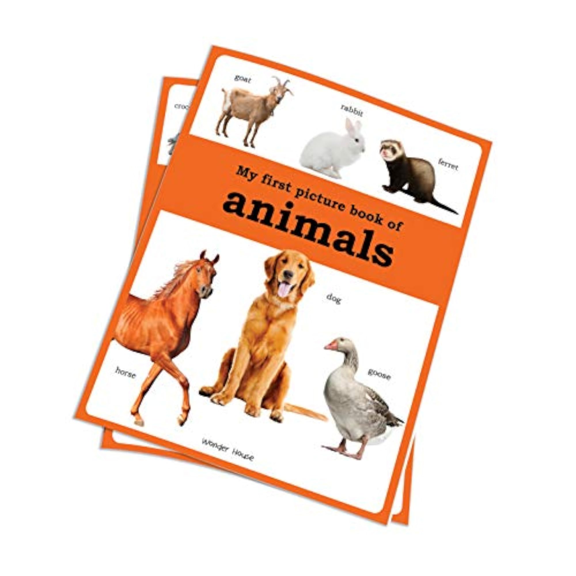 My First Picture Book of Animals