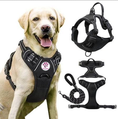 Large Dog Mesh Harness & Leash Set - Luxury L Size L Harness for Adults Pets - Durable Oxford Fabric, Soft Padding, Elastic Straps for Comfort & Circulation