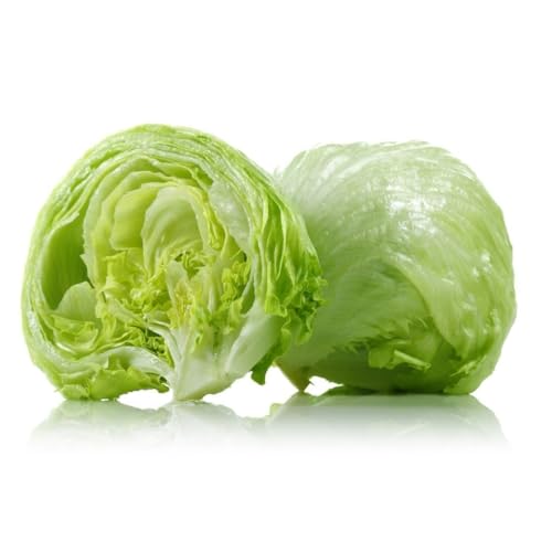 Fresh Lettuce Iceberg 350-450 g UAE