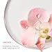 Biolage Color Last Shampoo - For Color-Treated Hair, Nourishes, Strengthens, Hydrates, Soybean Oil & Stearic Acid, Paraben & Mineral Oil-Free, Vegan, 1.7 Fl Oz, Packaging may vary