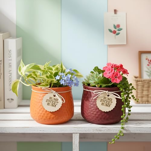 Image of Xtore Charming Textured Ceramic Planter Set with Wooden Tag Accent | Rustic Indoor Plant Pots for Desk, Shelf & Home Decor (Pack of 2, Planter only)