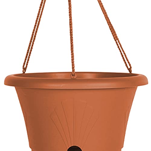 Bloem Lucca Self Watering Hanging Basket 13" Terra Cotta #TOP6