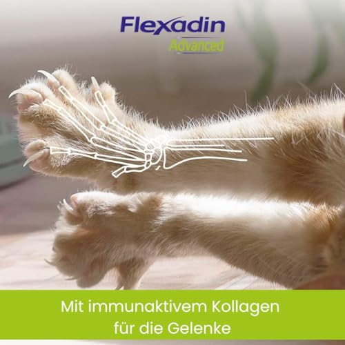 FLEXADIN ADVANCED® Katze |Innovativer Ansatz für die Gelenkgesundheit | Undenaturiertes Kollagen Typ II – 60 Gelenkleckerli