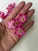 20 PCS Artificial Lignum Vitae 3.5 cm Clay Flower for Jewelry Making DIY Craft Supplies (Dark Pink) #1