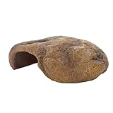 Hobby B0DG5XN7SP lato 2